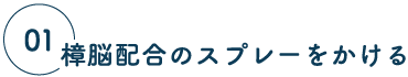 01 樟脳配合のスプレーをかける