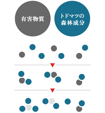 有害物質の無害化