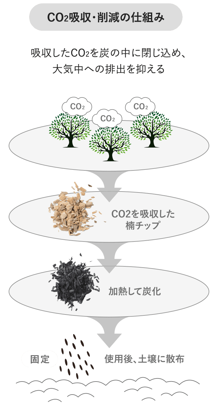 CO2吸収・削減の仕組み